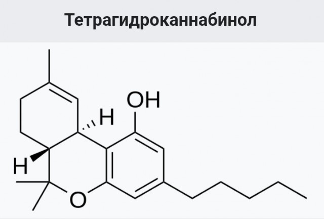 Wildberries пробил дно окончательно