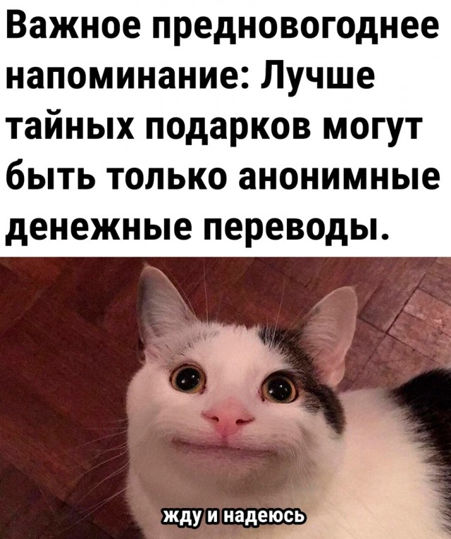 Так себе картинки 11.12.23