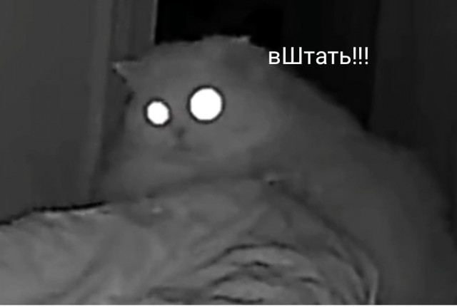 Это возмутительно!