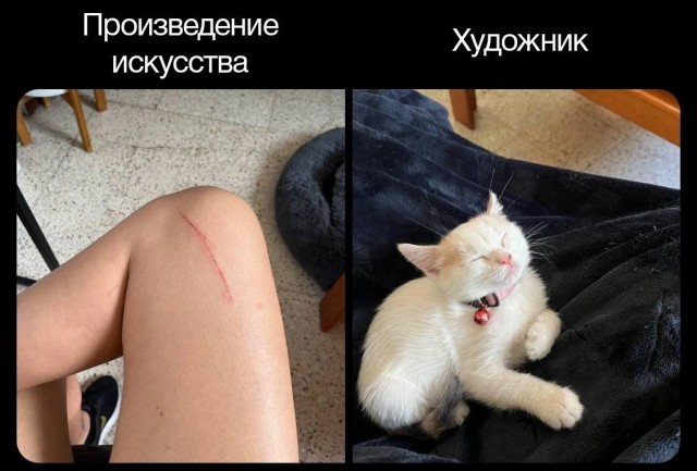 Завалялось тут случайно немного забавных картинок