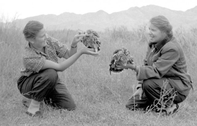 Советские люди в 1950 - 60-х годах