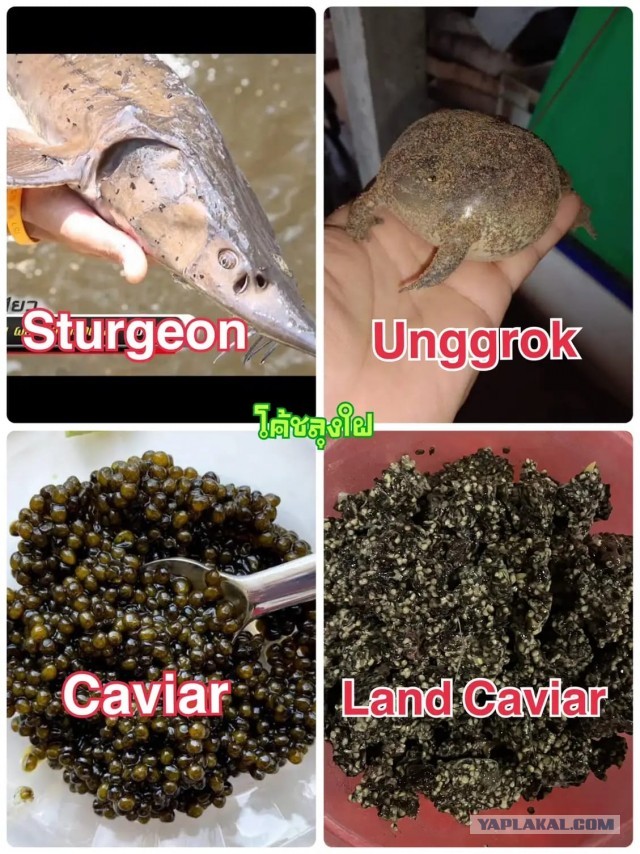 Бутан, таинственный Бутан