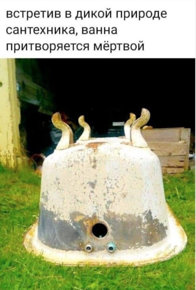 Веселые картинки в маленькую пятницу 23.04