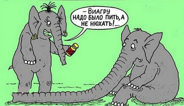 Картинки разные с надписями и без