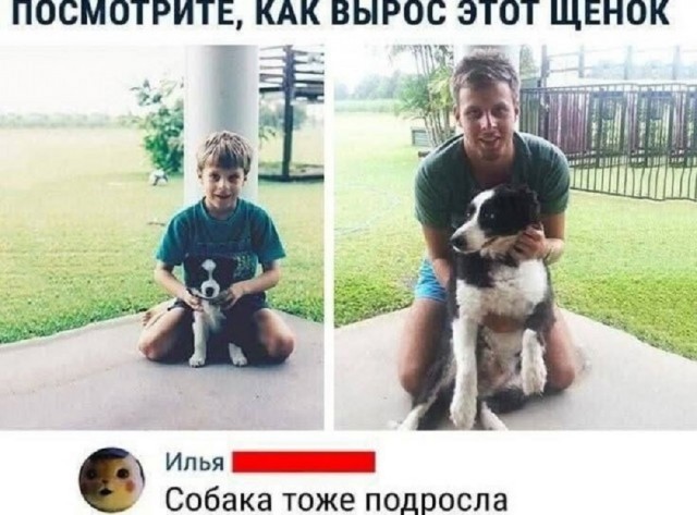 Так себе картинки 24.05.25