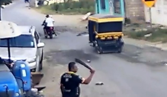 Лупень эквадорский