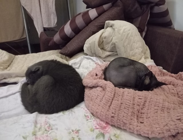 Вот такое оно - одиночество