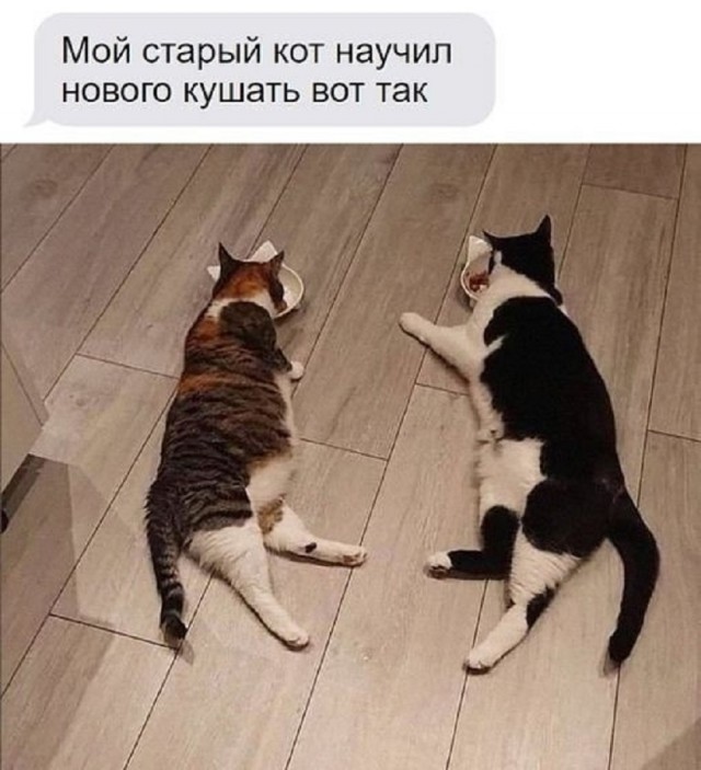 Так себе картинки 05.12.25