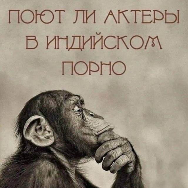 Картинки для деградации 169 (разной степени свежести)