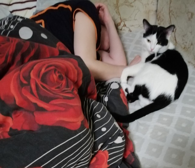 К котовторнику: подборка картинок-баянов с котиками и про котиков. Выпуск 36.
