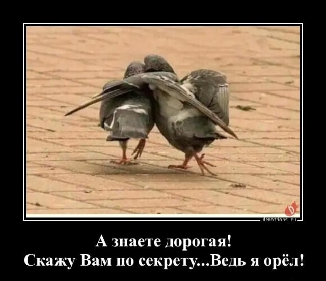 Панихида