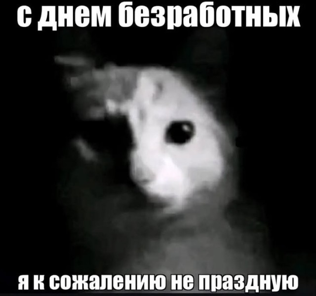 мемчики