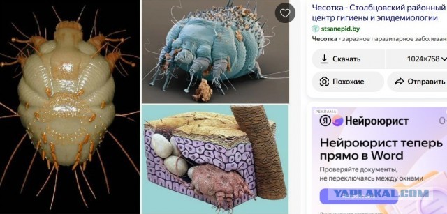 Китаец открыл салоны, где чешут людей за деньги