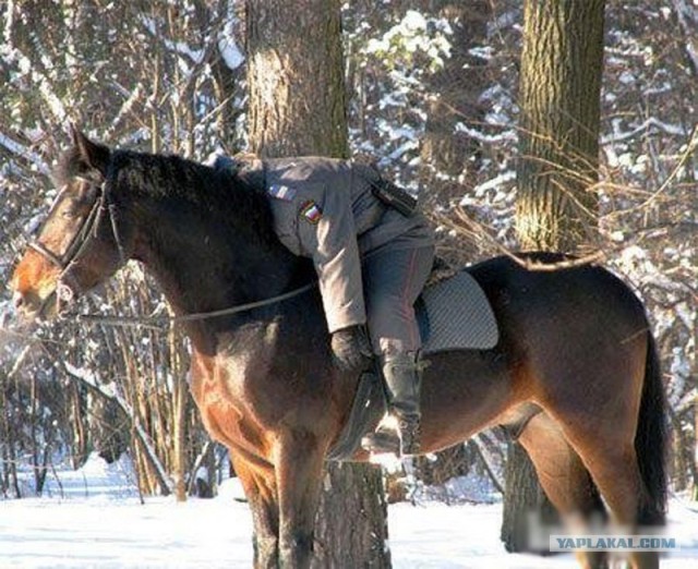 Самый бдительный охранник