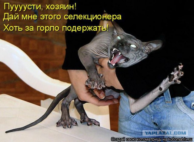 Владельцы собак, держите собак крепче...