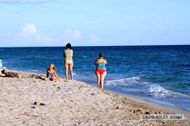 Семейной похожести пост