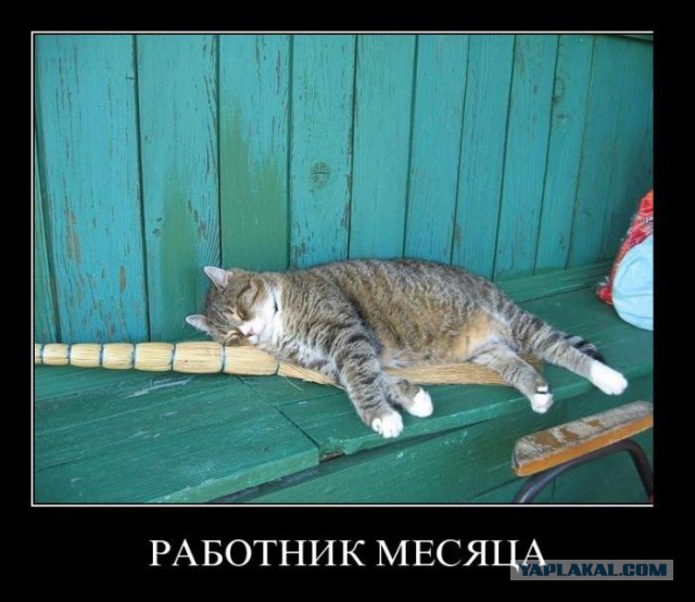 Чёрт, чёрт, чёрт!