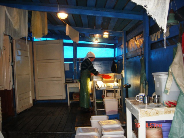Путина 2005, Камчатка