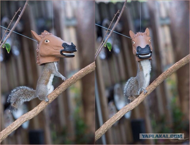 Абсурдный юмор ч.7