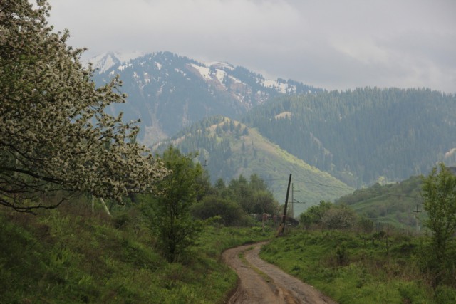 Деревенская Америка - 2