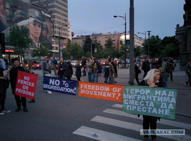 Митинг против правительства в Белграде