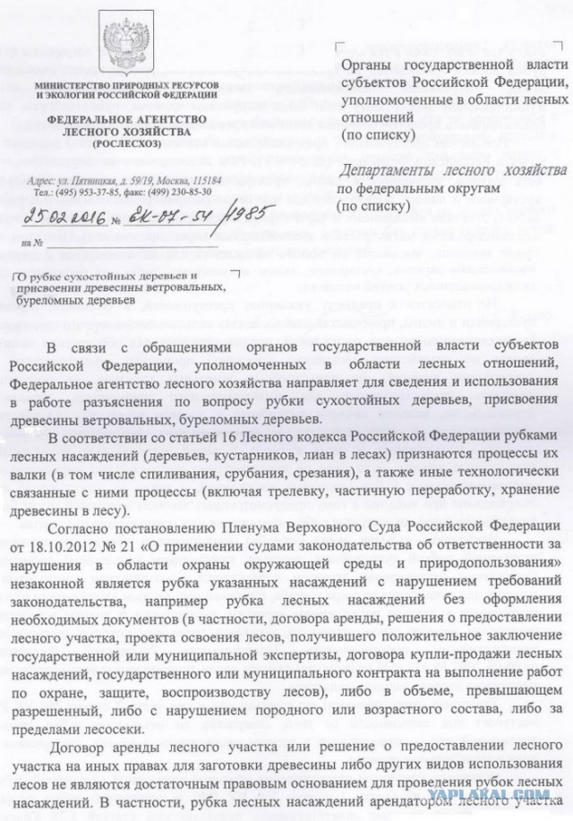 Закон о трёх веточках
