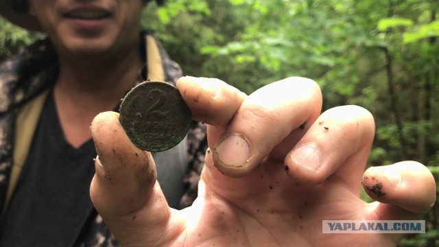 Загадочная воронка в лесу и редкая находка
