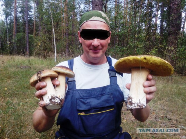 Хвастаюсь... Не могу удержаться