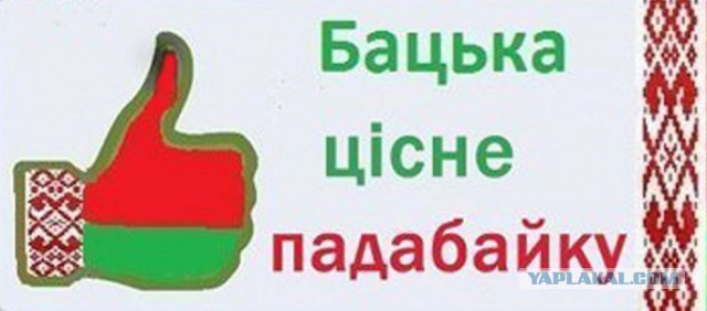 Беларусы капаюць бульбу