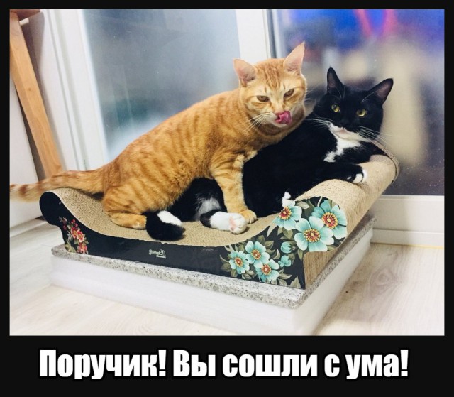 Подборка интересных и веселых картинок
