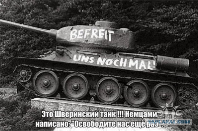 Психология типичного негра из Евросоюза