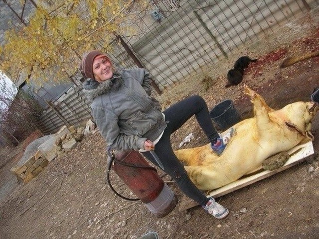 Скотсети и прочие интернеты 28.12.18