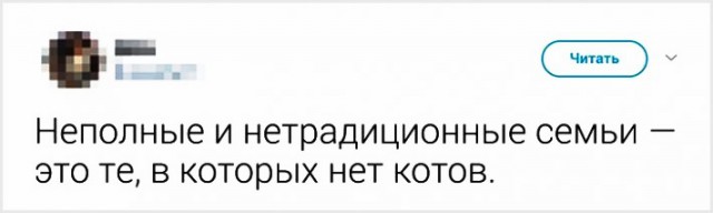 Фото, соц-сети и картинки с надписями