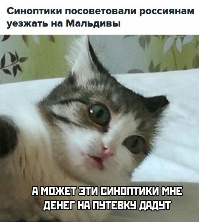 Анекдоты, истории и картинки с надписями