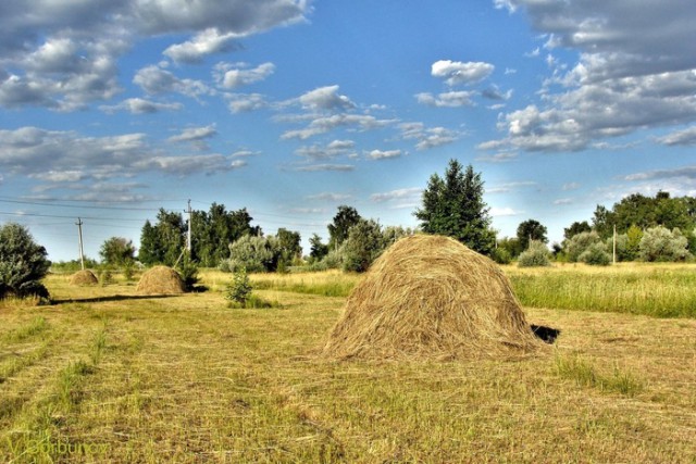 Каникулы в деревне