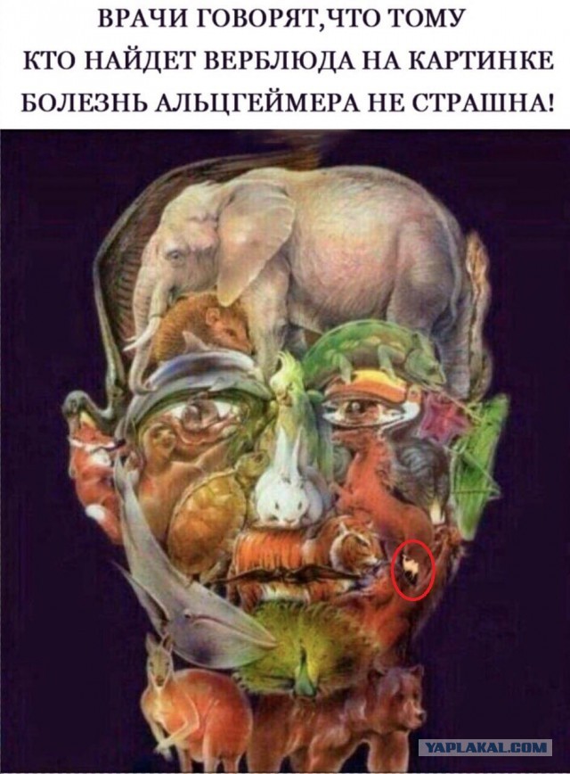 Мудрость. Level 80