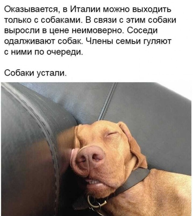 Бредзона 30.03.2020