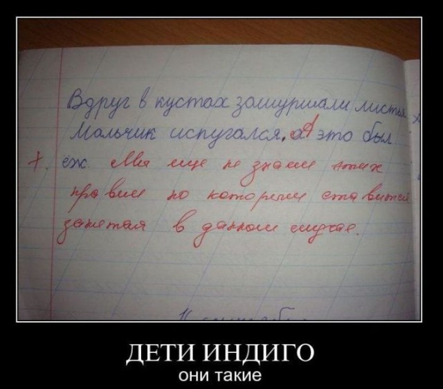 Бредзона 17.07.2020