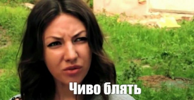 Кошачьи физиономии на разных животных