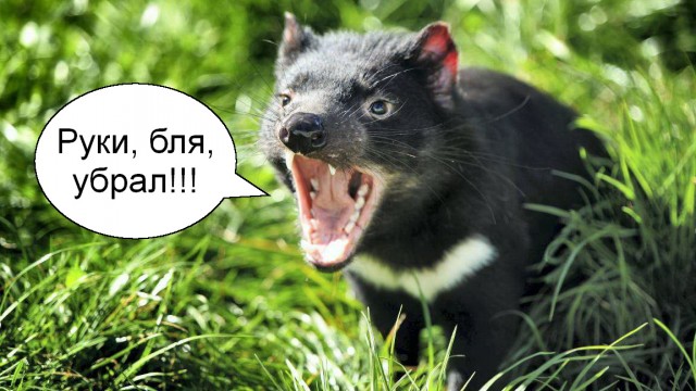 "Мужчина за сорок без квартиры и машины не пригоден для брака!» - почему надо избегать таких женщин