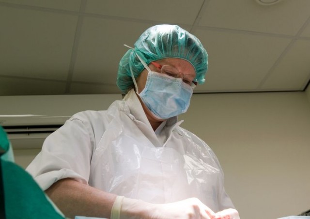 16 деталей жизни голландцев, которые доказывают, что между нашими странами — пропасть