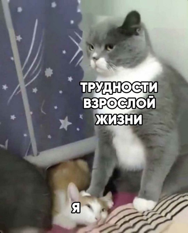 Опять 25, но не 25