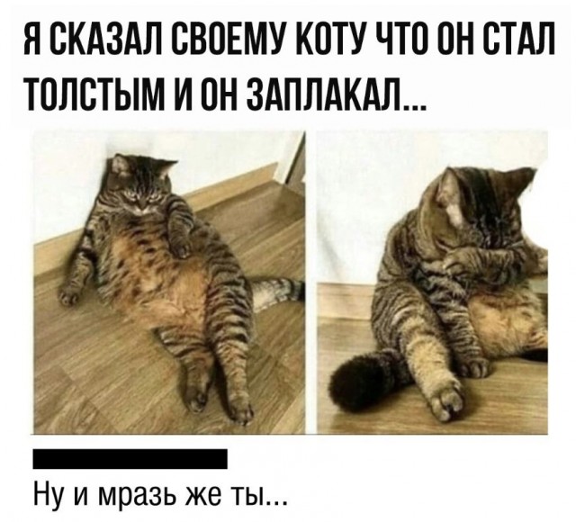 Картинки с надписями и всякие жизненные фразы 5.06.21