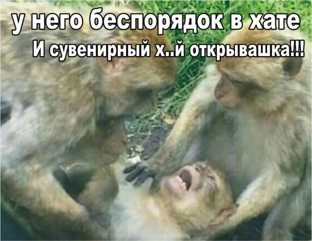 Квартира Хованского после обыска