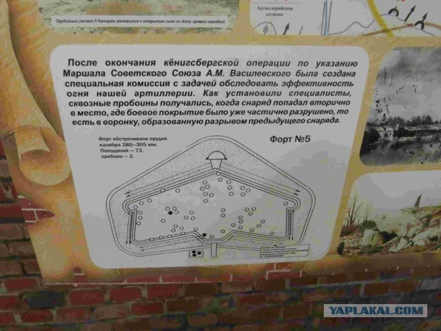 Я живу в Калининграде