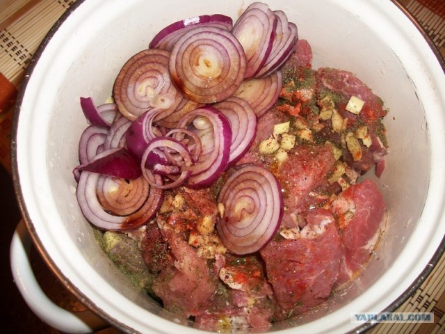 Шашлык, рецепты маринада, все про шашлык!