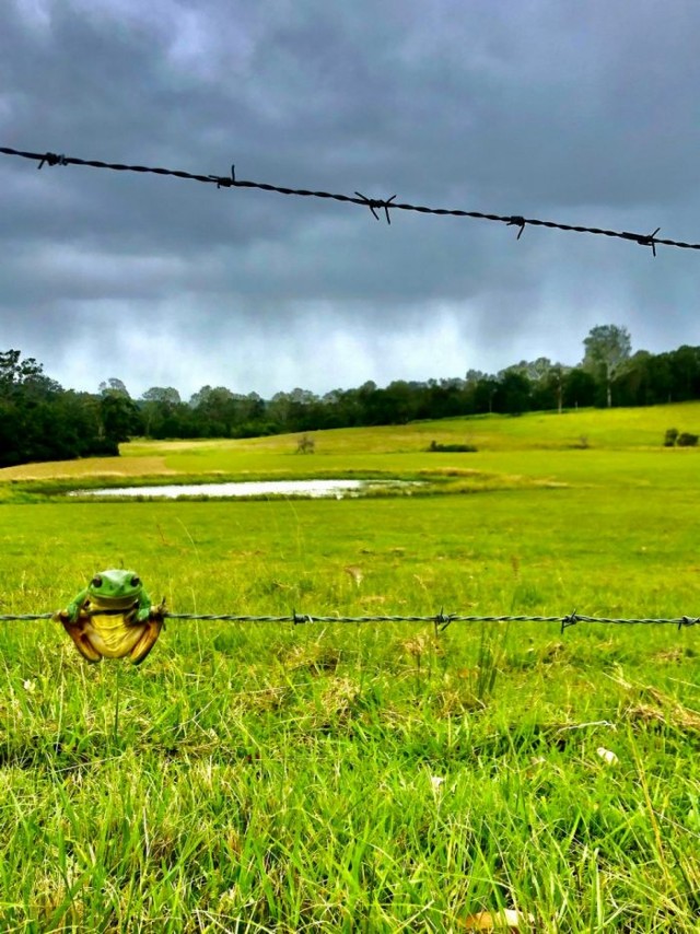 Картинки и мемы для настроения 05.08.2021