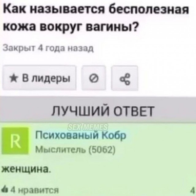 Баянисто-небаянистый юмор 09.08.21