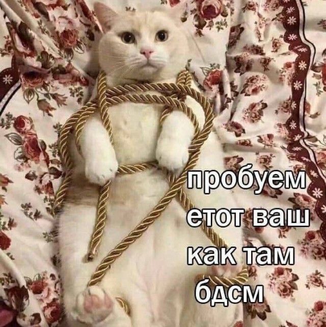Пятница. И немного слегка пошлых картинок с надписями и без 16+ (20.08))
