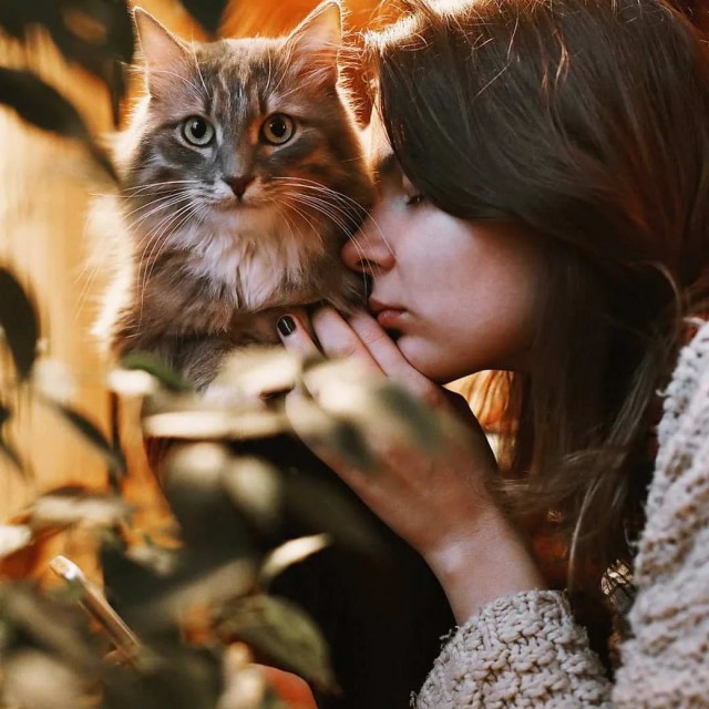 Девушки котовторника
